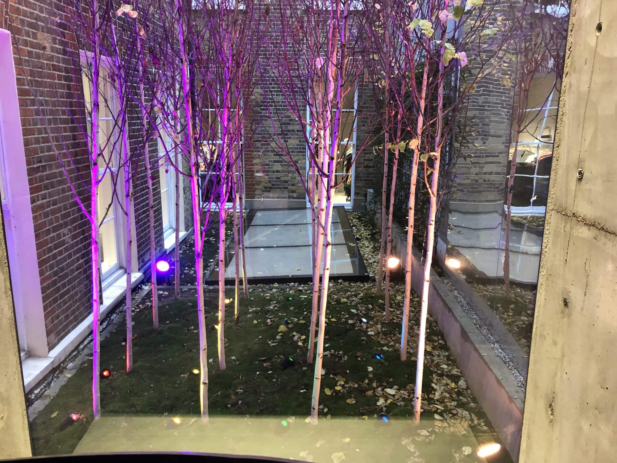 Illuminated trees at stella mccartney's flagship store