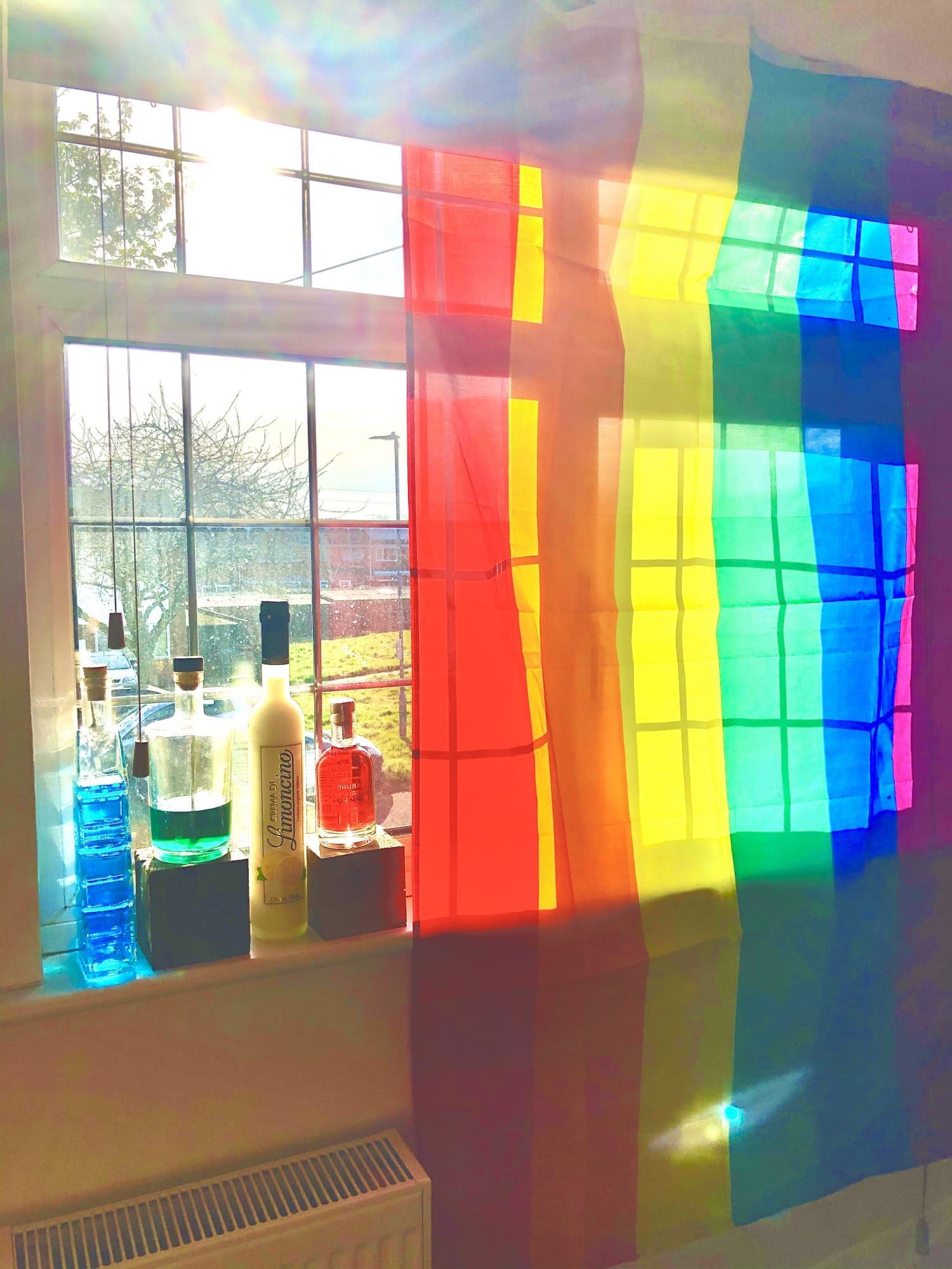 Rainbow flag in window