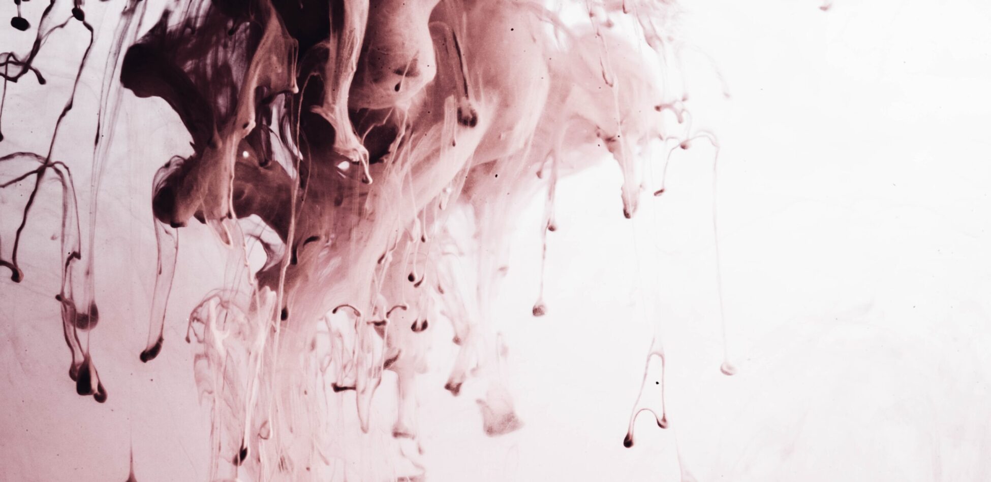 The Experiential Boom