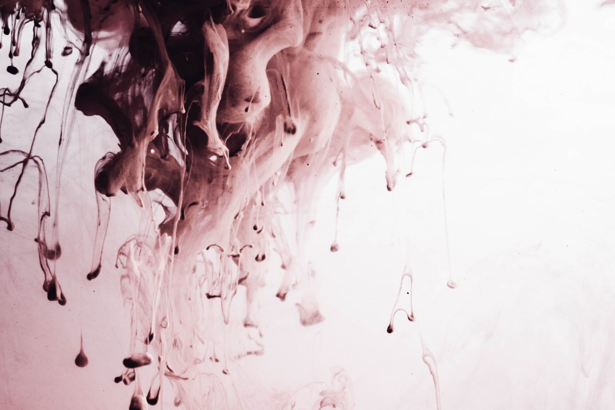 The Experiential Boom