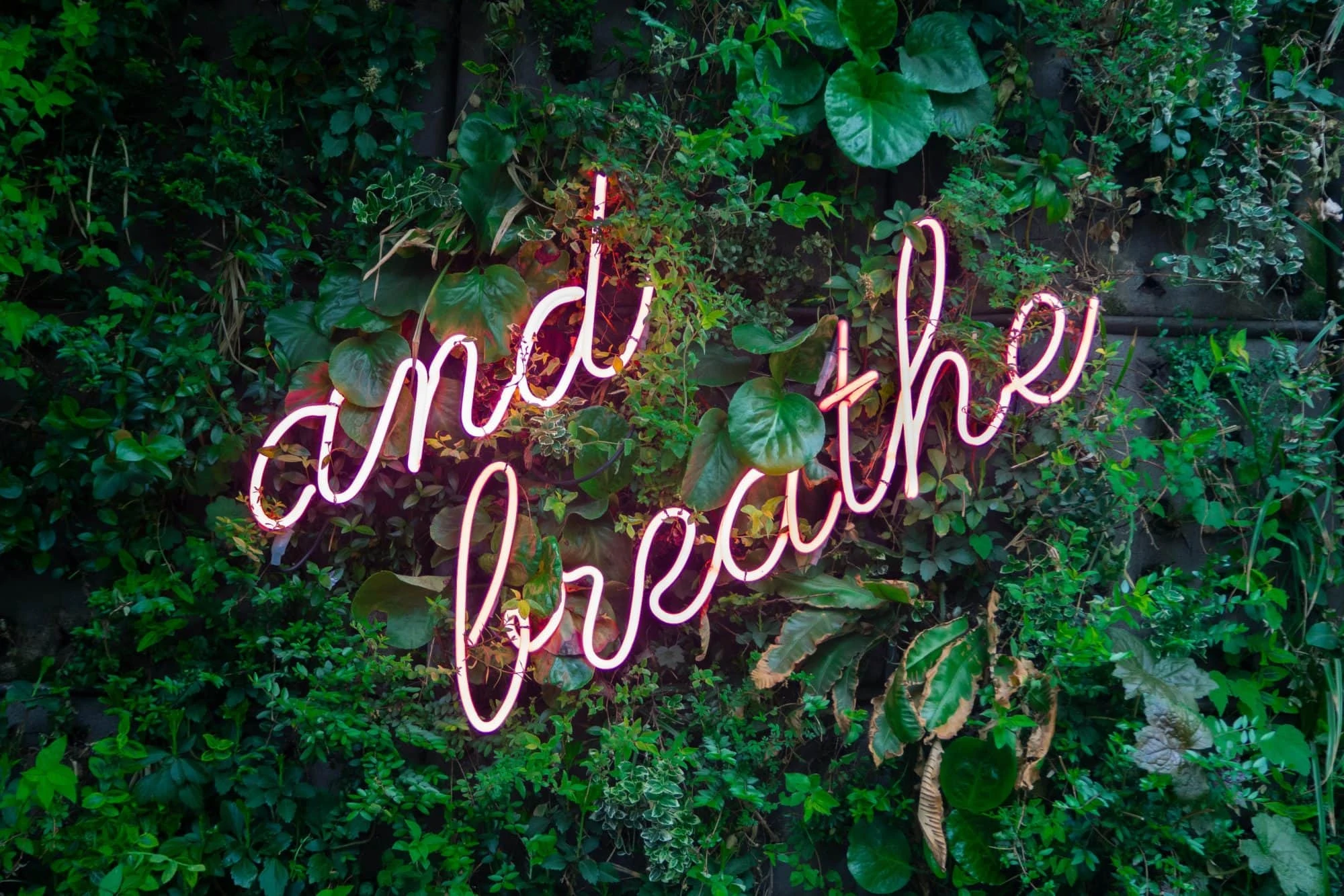 What Is and Is Not Biophilic Design