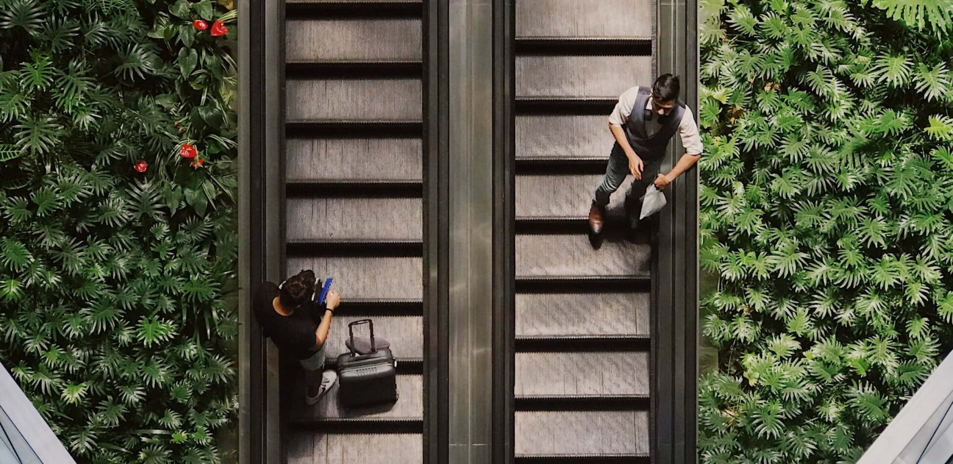 Rewilding Retail with Biophilic Design