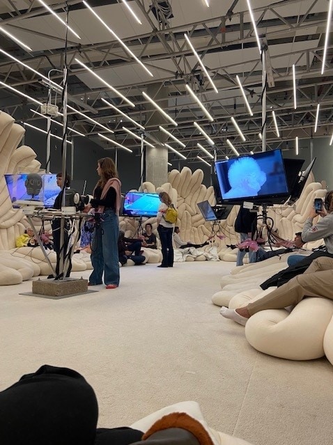 online ASMR community