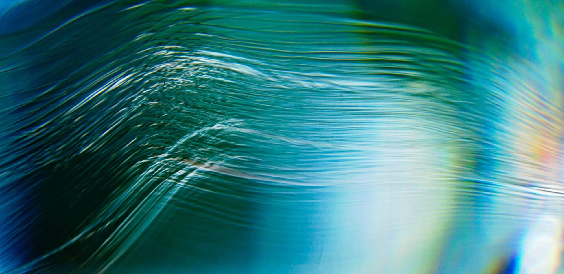 How To Beat The Algorithm