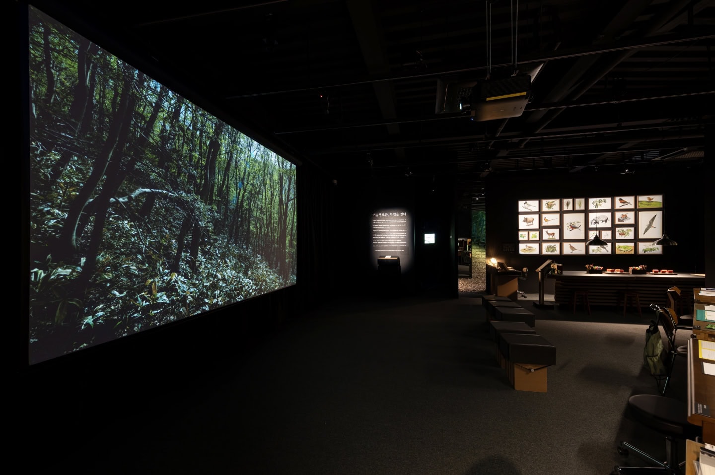 Our top examples of ‘Biophilic design’