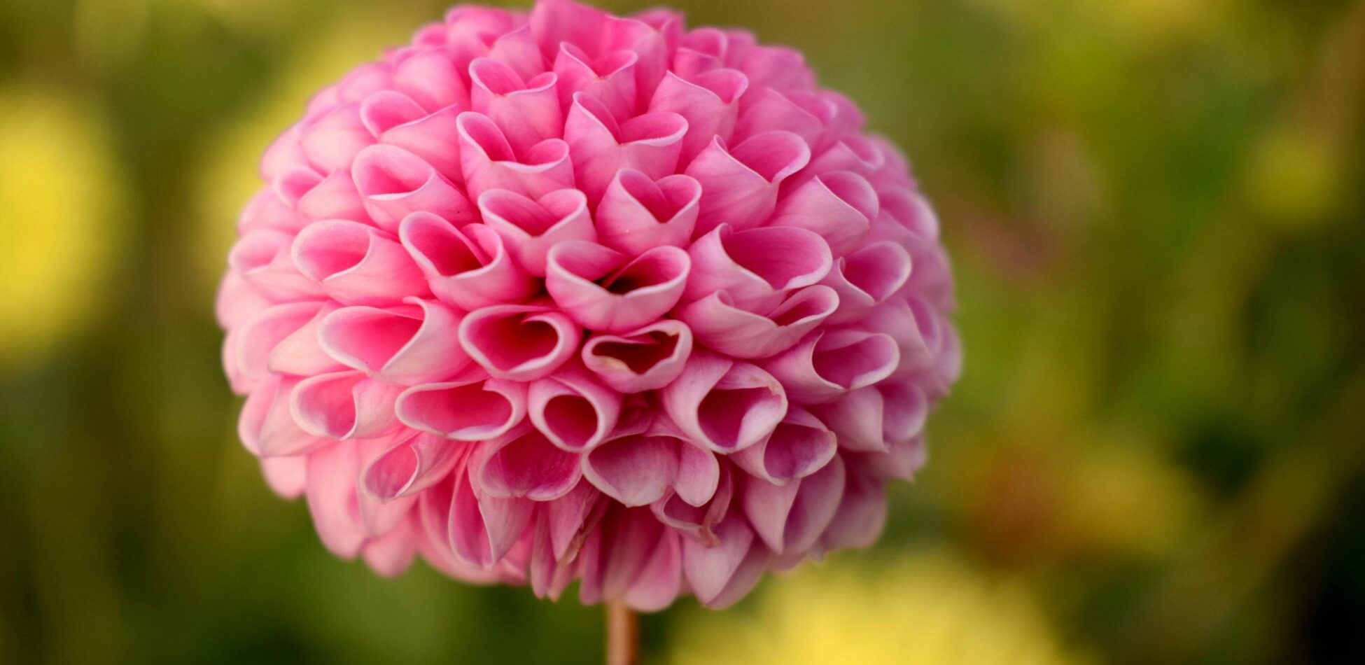 Love in every detail